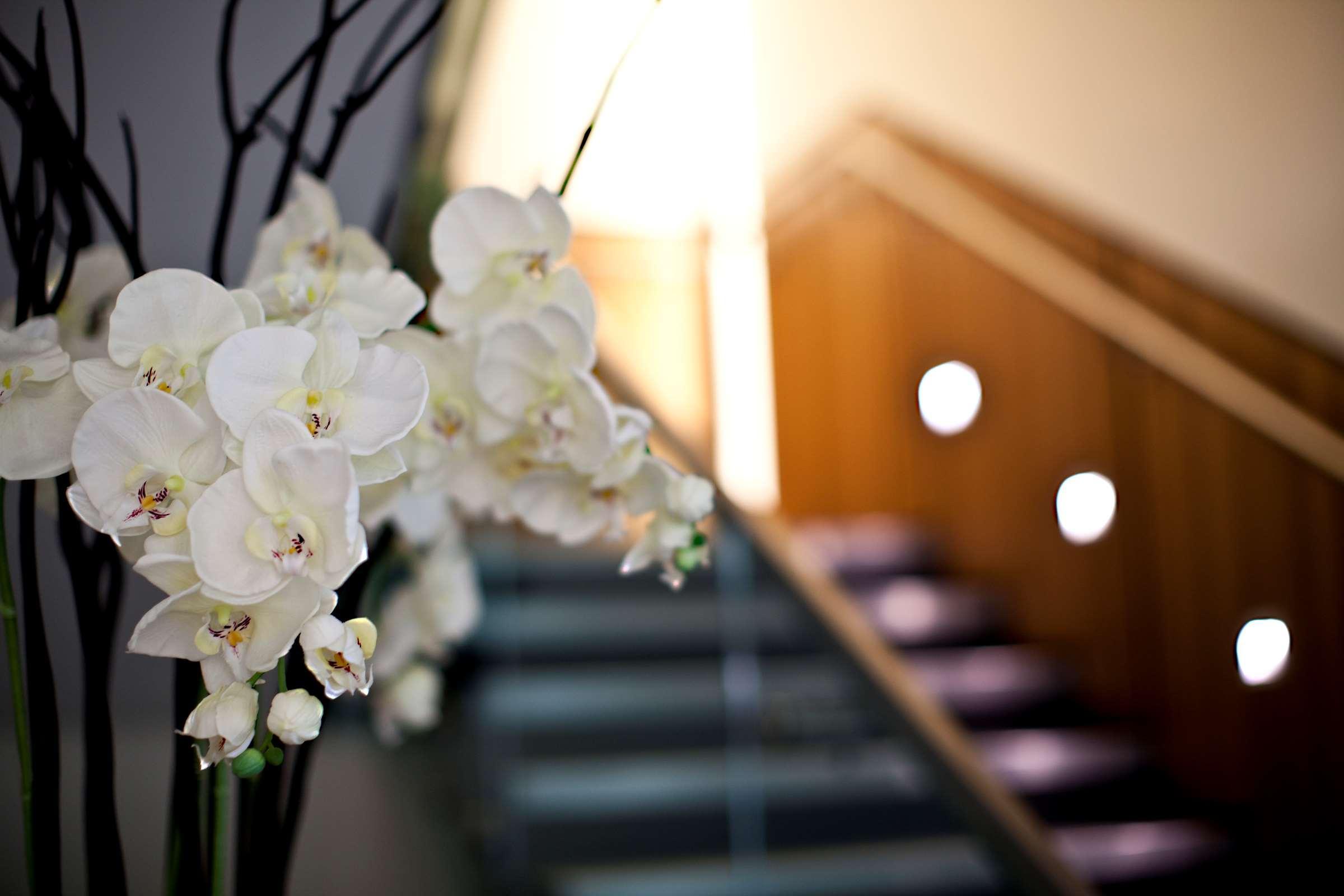 Hilton London Heathrow Airport Terminal 5 Hotell Hillingdon Eksteriør bilde